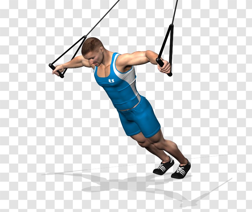 Suspension Training Exercise Physical Fitness Weight Functional - It - Performing Arts Transparent PNG