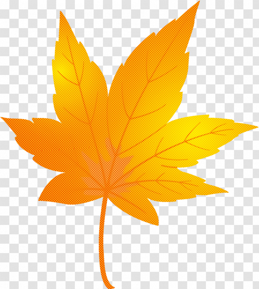 Maple Leaf Autumn Leaf Yellow Leaf Transparent PNG