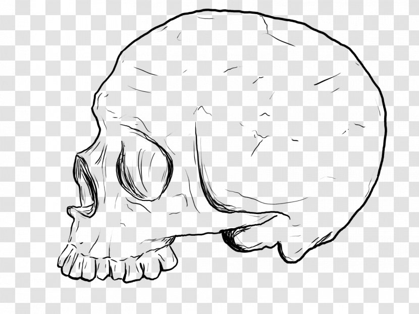 Drawing Skull Calavera Line Art - Cartoon - Red Print Transparent PNG