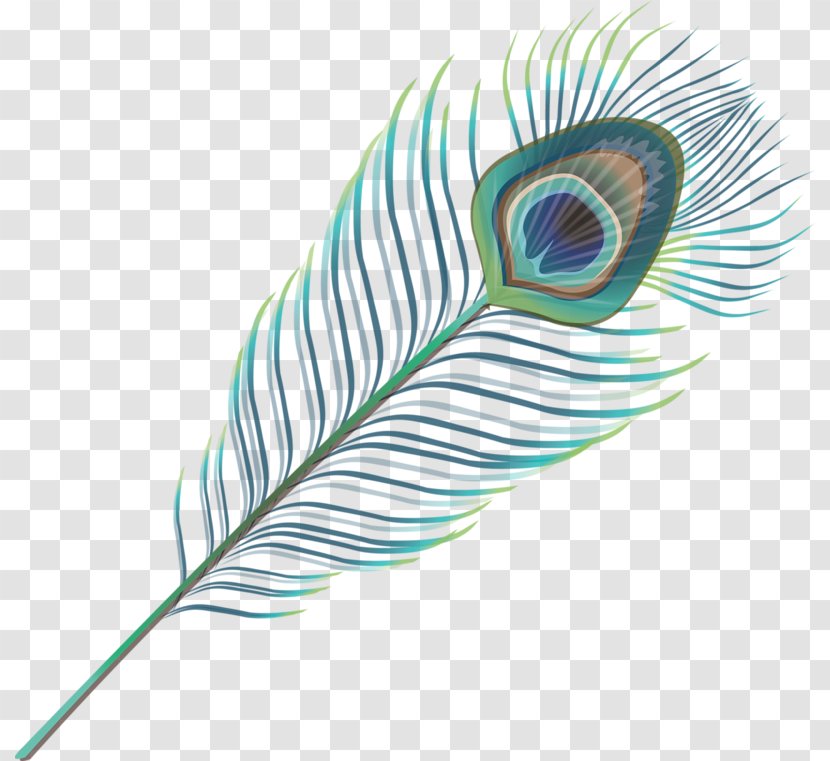 Feather Wing Google Images Download - Cartoon - Feathers Transparent PNG