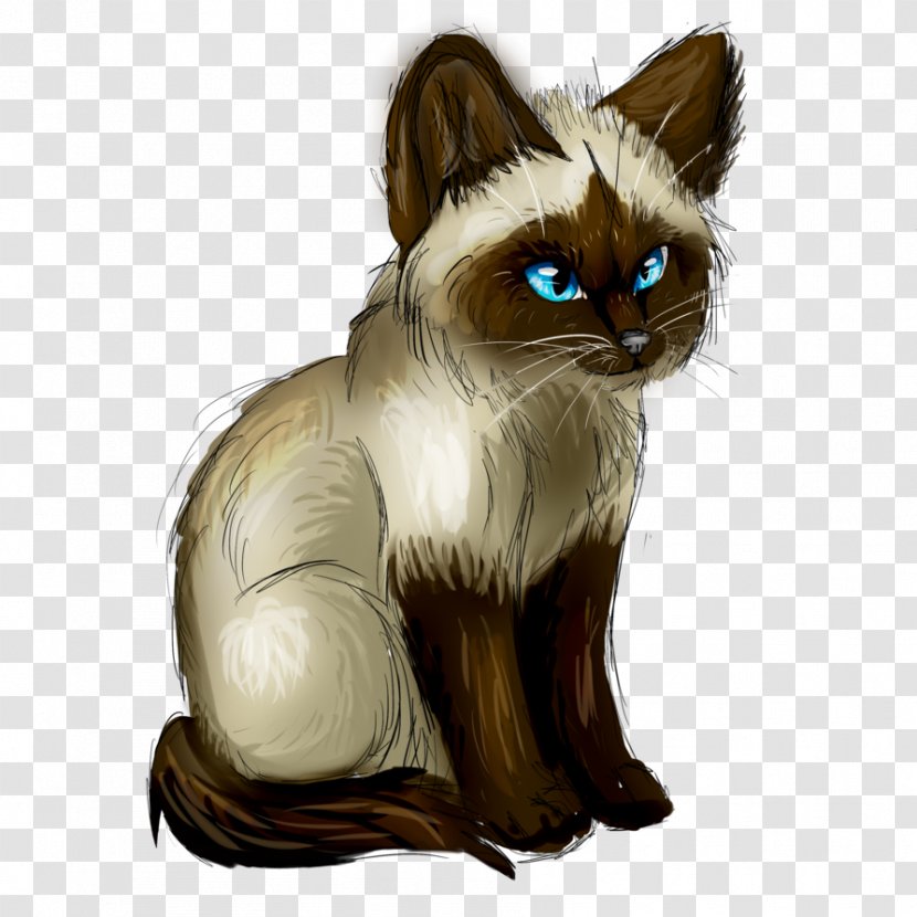 Whiskers Balinese Cat Siamese Kitten Paw Transparent PNG