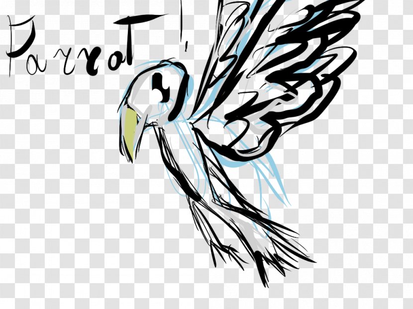 Bird Drawing Graphic Design - Of Prey - Macaw Transparent PNG