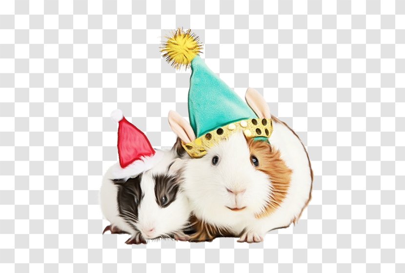 Party Hat Cartoon - Whiskers - Costume Pest Transparent PNG