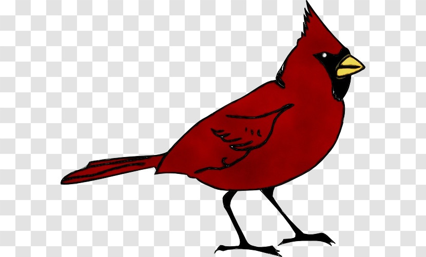 Northern Cardinal Cardinal Birds Summer Tanager Old World Sparrow Transparent PNG