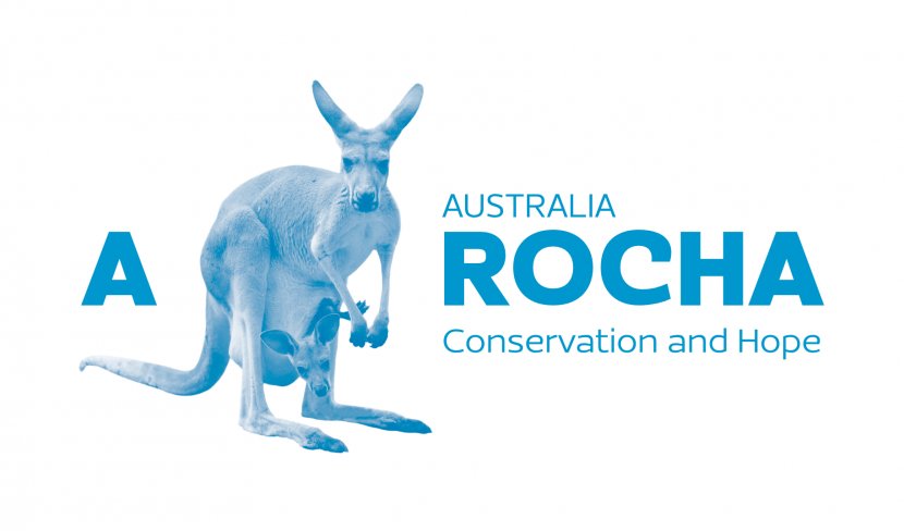England Aotearoa A Rocha Charitable Organization Conservation - Kangaroo Transparent PNG