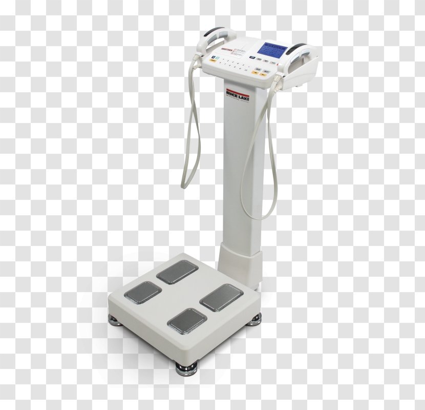 Bioelectrical Impedance Analysis Body Composition Adipose Tissue Overweight Fat Percentage - Mass Index Transparent PNG