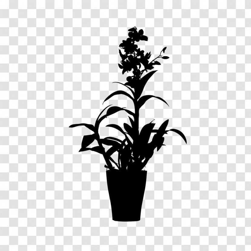 Flowerpot Houseplant Plant Stem Leaf - Grass - Botany Transparent PNG
