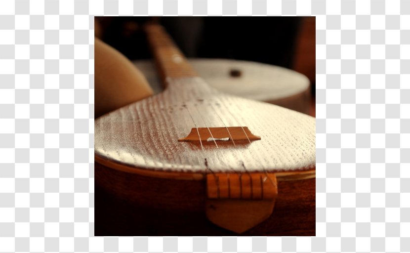 Setar Musical Instruments Guitar Picks - Heart Transparent PNG