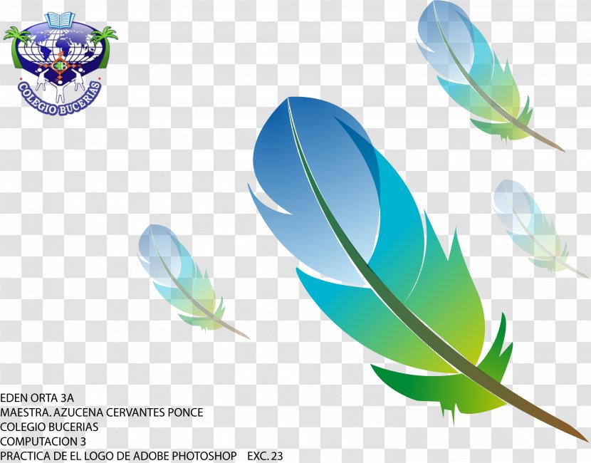 Feather Pen Logo - Plant - Boho Arrow Transparent PNG