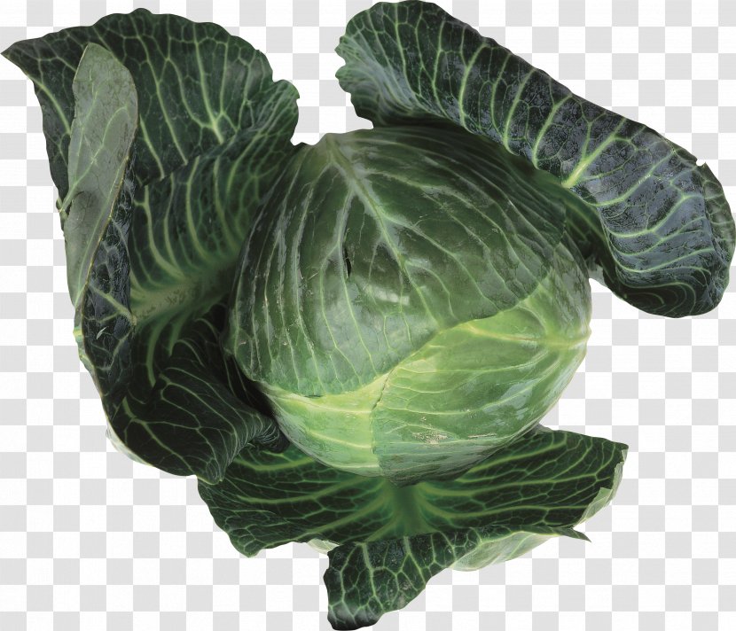 Collard Greens Leaf Vegetable Cabbage Food Brussels Sprout - Health Transparent PNG