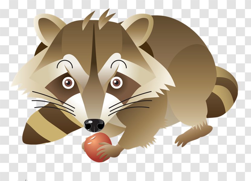 Mask Raccoon Carnival Paper Letter - Drawing - Pk Transparent PNG