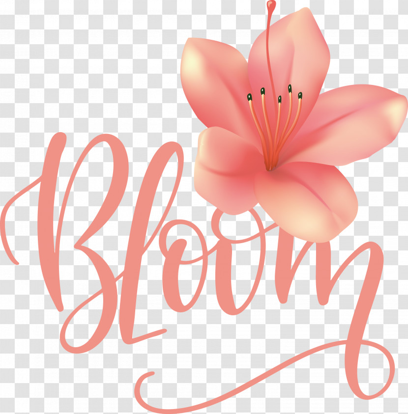 Bloom Spring Transparent PNG