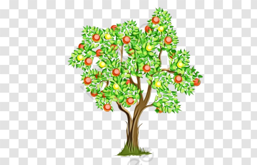 Tree Plant Flower Branch Leaf - Grass - Flowerpot Woody Transparent PNG