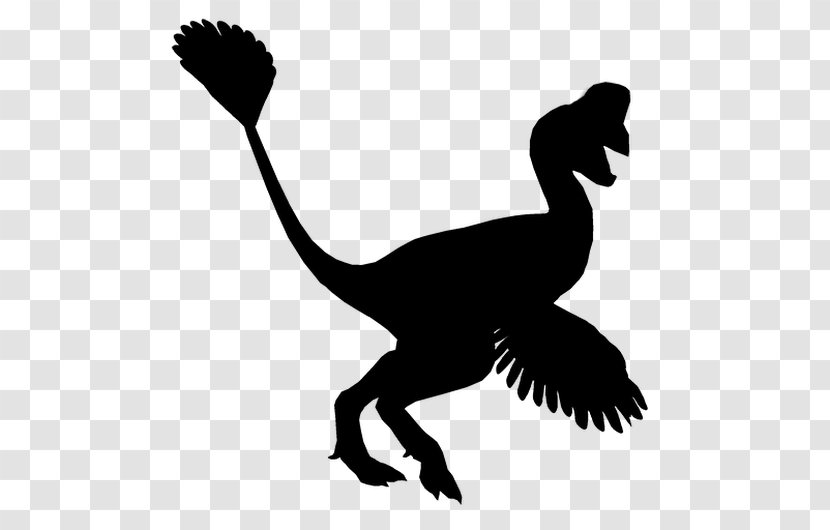 Ducks Cygnini Goose Velociraptor - Silhouette Transparent PNG