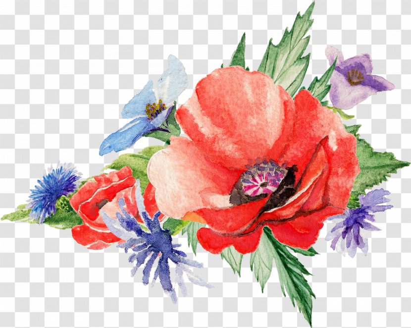 Watercolor: Flowers Poppy Art Painting - Family - Watercolor Transparent PNG