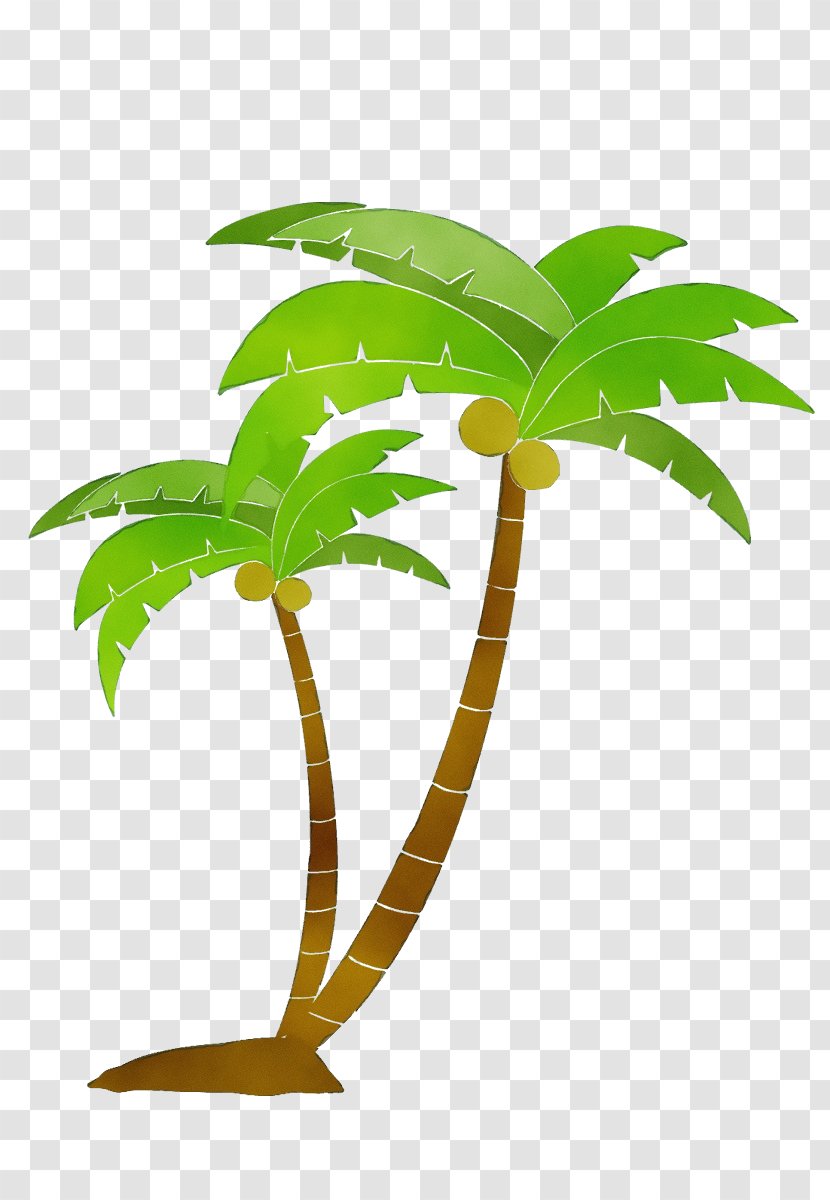 Palm Tree - Leaf - Terrestrial Plant Arecales Transparent PNG