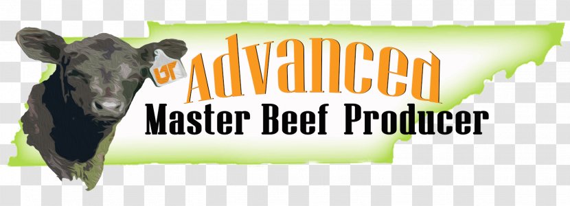 Dairy Cattle Beef Angus Calf - Snout - Agriculture Product Flyer Transparent PNG