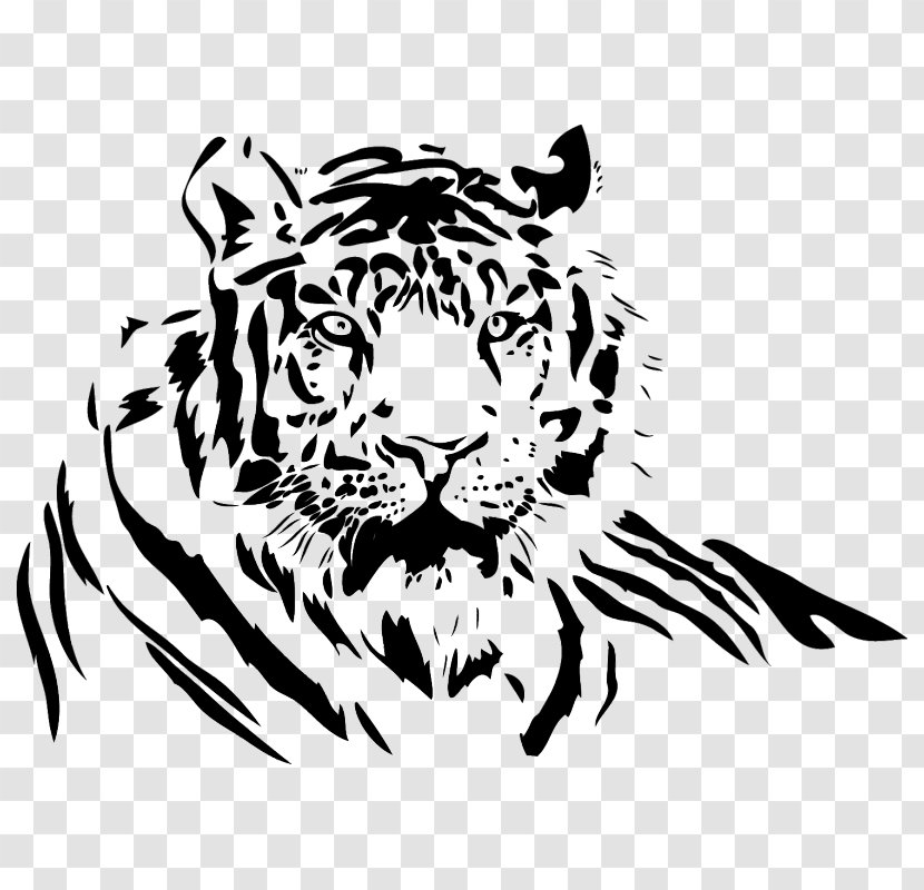 White Tiger Drawing Lion Clip Art - Big Cats - Glamor Vector Transparent PNG