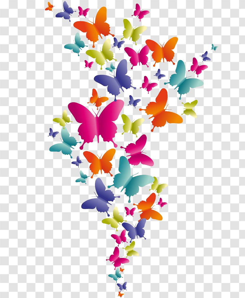 Color Royalty-free Illustration - Branch - Butterfly Pattern Transparent PNG