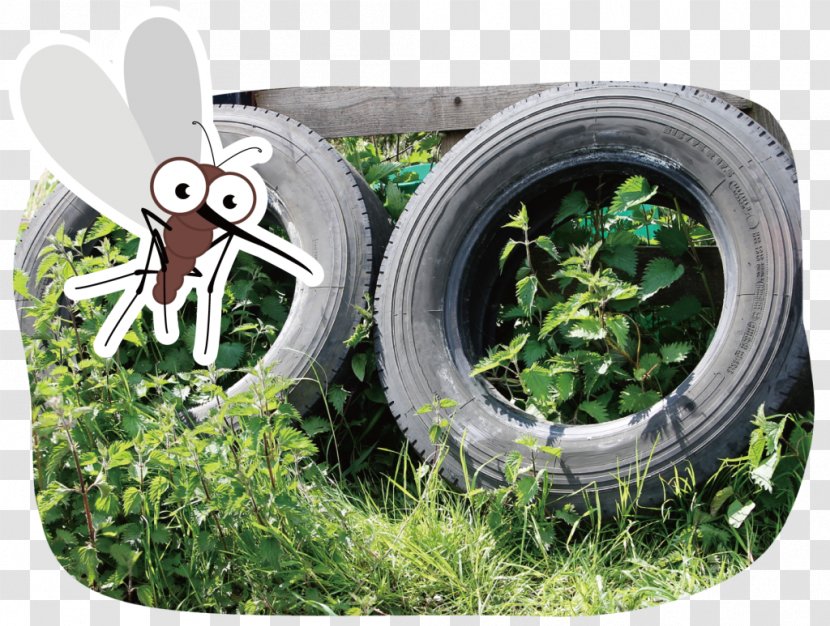 Tire Stock Photography Royalty-free - Wheel - Anti Mosquito Transparent PNG
