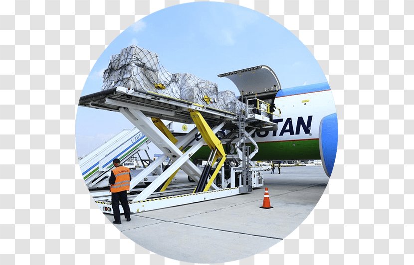 Air Transportation Uzbekistan Airways Logistics Crónica Global - Cargo Transparent PNG