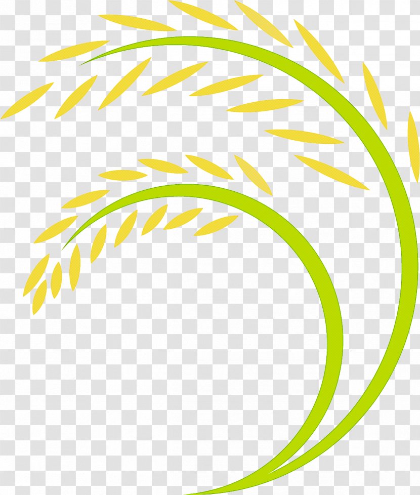 Green Grass Background - Grasses - Plant Yellow Transparent PNG