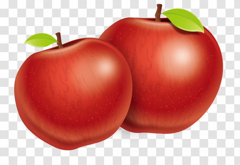 Plum Tomato Apple Fuji - Fruit - Vector Two Apples Transparent PNG