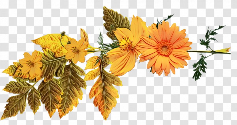 Artificial Flower - Yellow - Calendula Transparent PNG