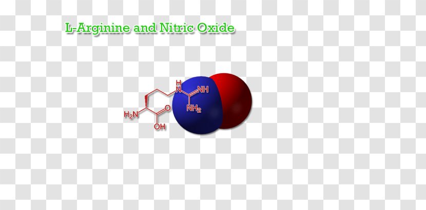 Nitric Oxide Arginine Nitrogen Dioxide Citrulline - Flower Transparent PNG