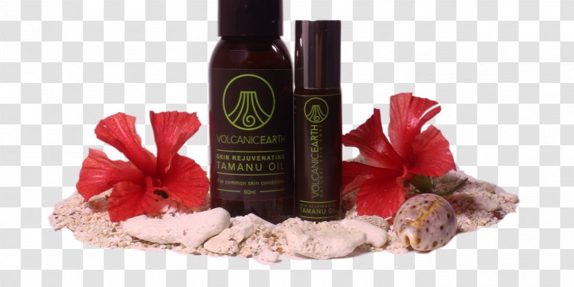 Tamanu Oil Coconut Moisturizer Skin Care - Milliliter Transparent PNG