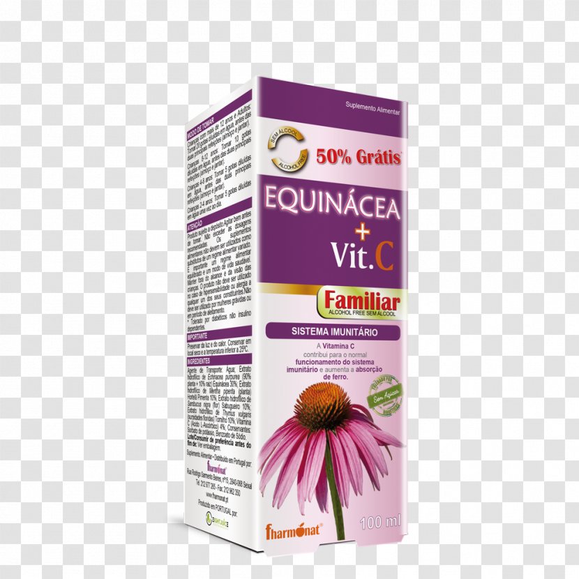 Dietary Supplement Echinacea Angustifolia Vitamin Ascorbic Acid Purpurea - Nutrient - Sambucus Transparent PNG