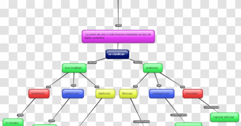 Concept Map Diagram Text - Credit - Mapa Conceptual Transparent PNG