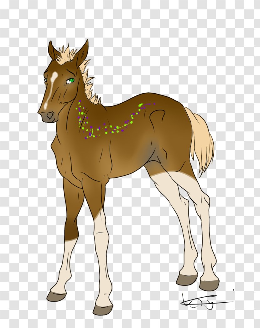 Mule Foal Stallion Mare Halter - Donkey Transparent PNG