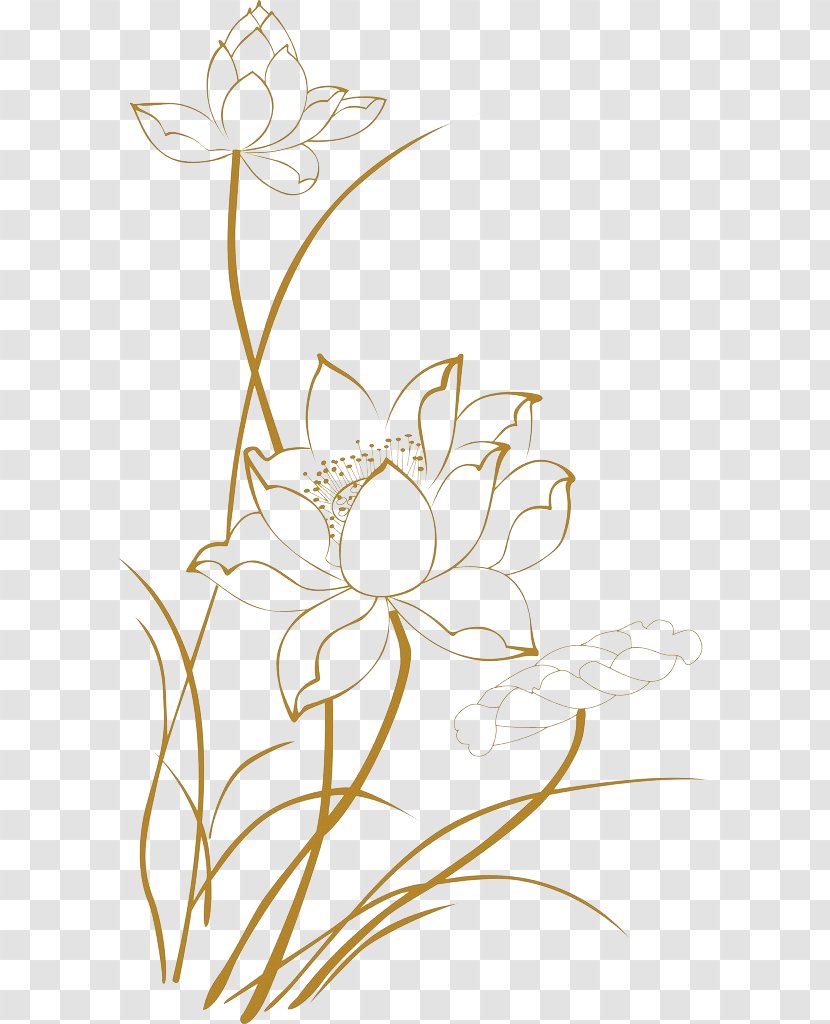 Xinshi, Shandong Euclidean Vector - Raster Graphics - Lotus Line Drawings Transparent PNG