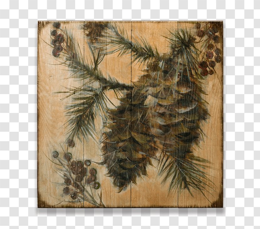 Fir Pine Conifer Cone Spruce - Metal - Design Transparent PNG