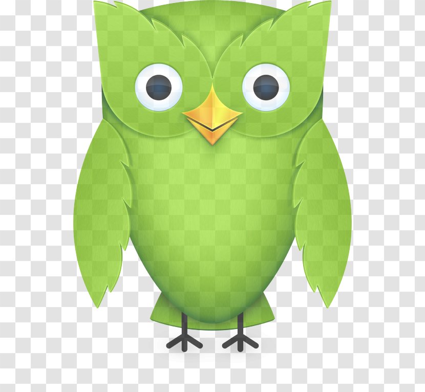Owl Green Cartoon Bird Of Prey - Screech Animation Transparent PNG
