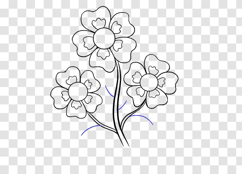 Drawing Cartoon Flower How-to Sketch - Area Transparent PNG