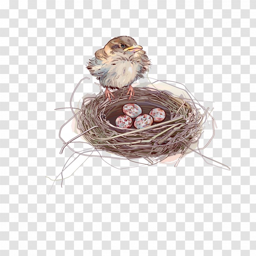 Sparrow Bird Nest Egg - Chicken Transparent PNG