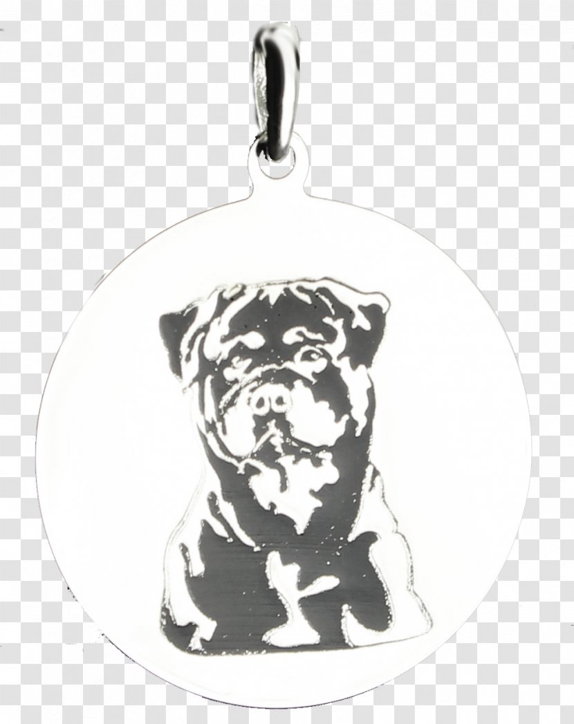 Pug Puppy Dog Breed Drawing Snout - Stencil - Religious Style Chandelier Transparent PNG