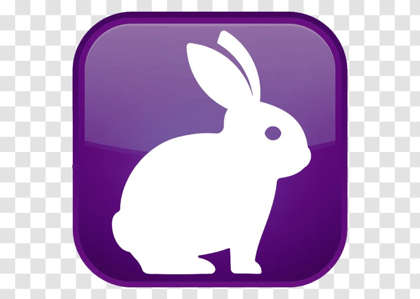 Domestic Rabbit Hare Easter Bunny - Mammal Transparent PNG