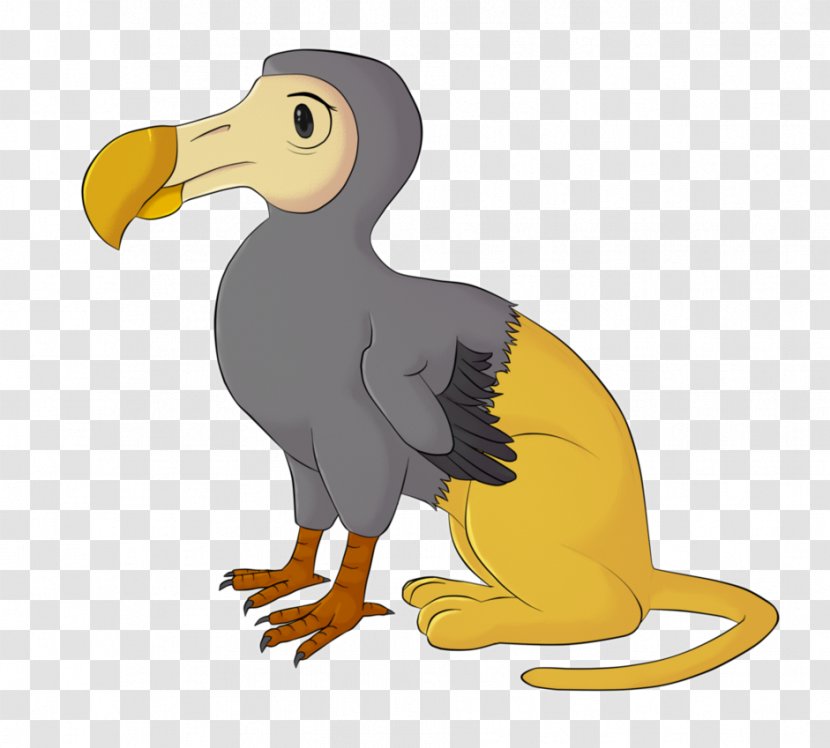 Duck Seabird Penguin Dodo Transparent PNG