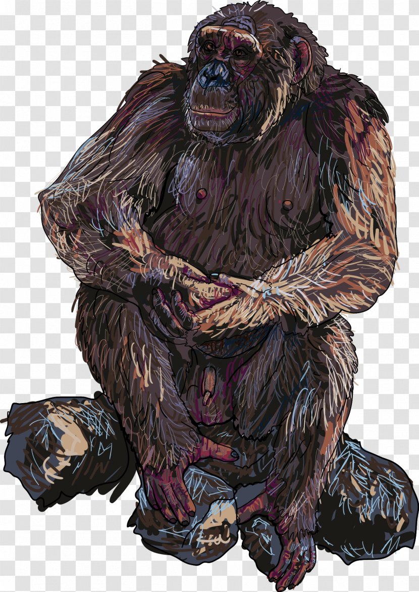 Orangutan Gorilla Animal - Bear Transparent PNG