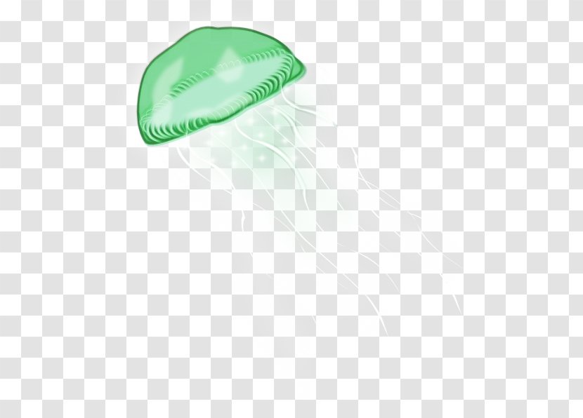 Green Cap Headgear Logo Transparent PNG