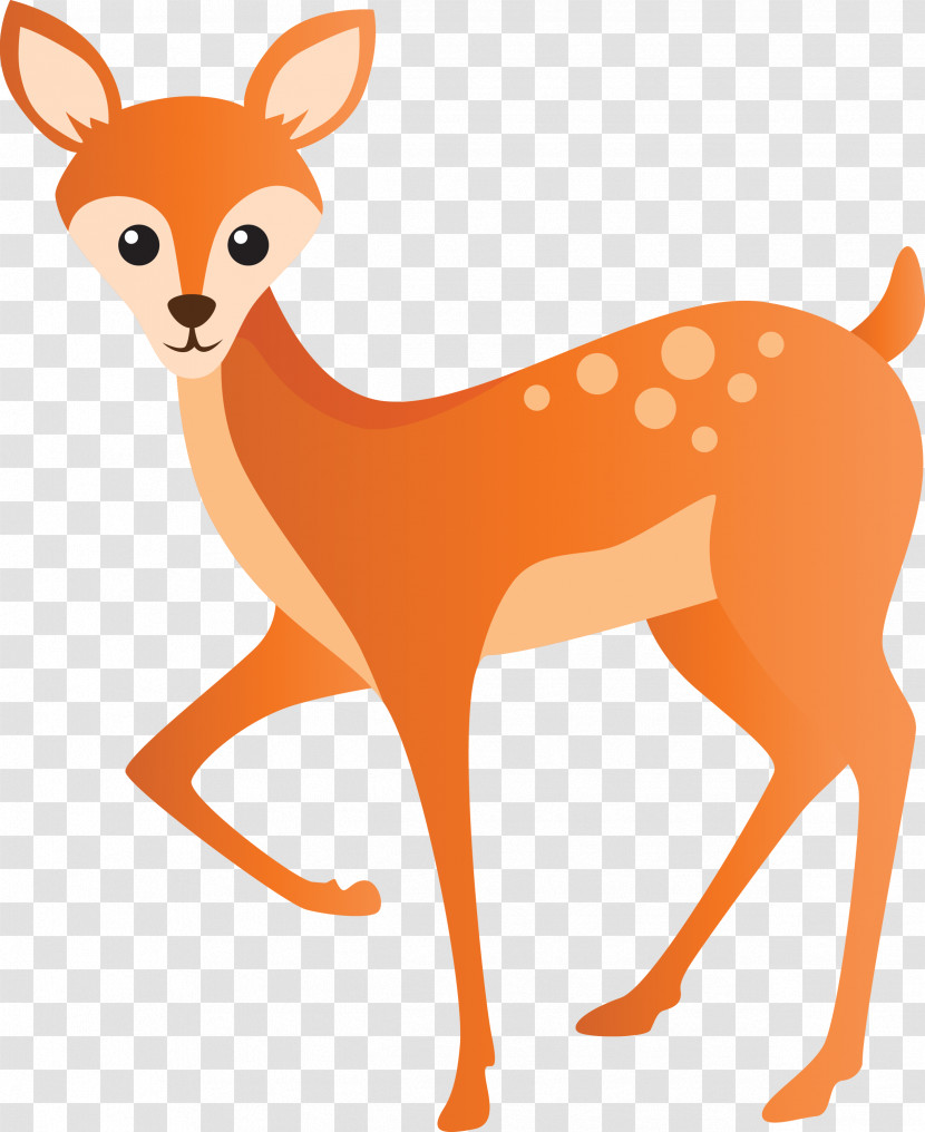 Deer Wildlife Tail Fawn Snout Transparent PNG