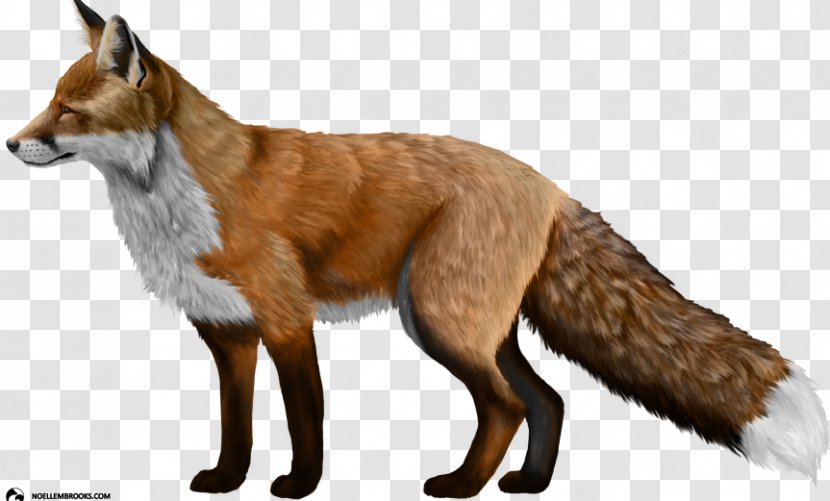 Domesticated Red Fox Silver Clip Art - Wildlife - RED Transparent PNG