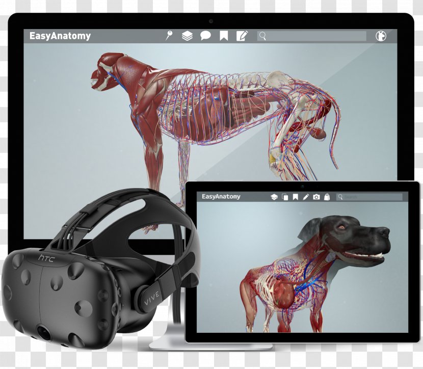 HTC Vive Oculus Rift Virtual Reality Augmented Dog Anatomy - Human Body 3D Transparent PNG