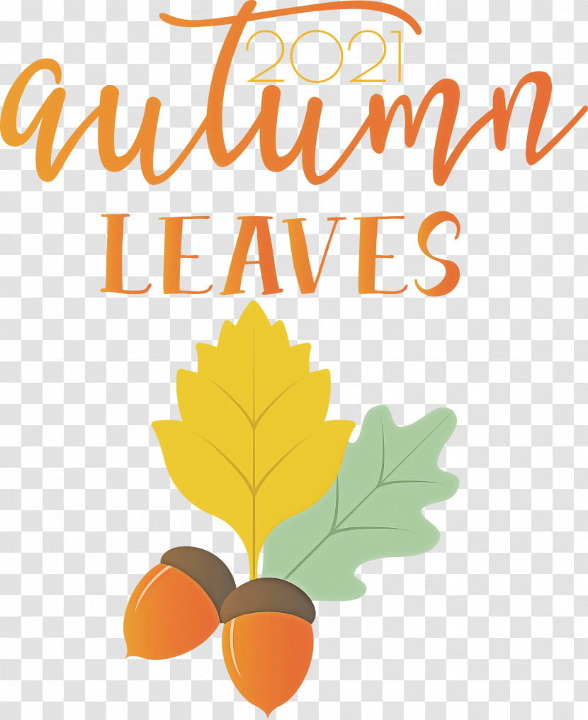 Autumn Leaves Autumn Fall Transparent PNG