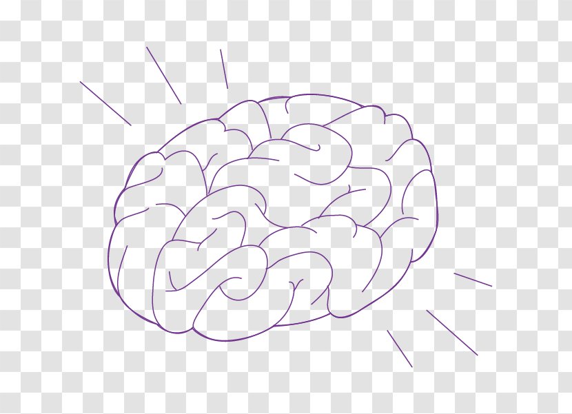 Clip Art /m/02csf Drawing Brain Cartoon - Mahimahi Transparent PNG