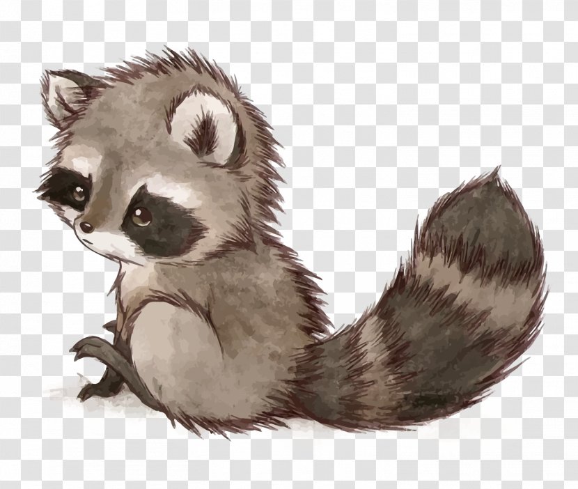 Raccoon Squirrel Drawing Cuteness Cat - Mustelinae - Vector Small Transparent PNG