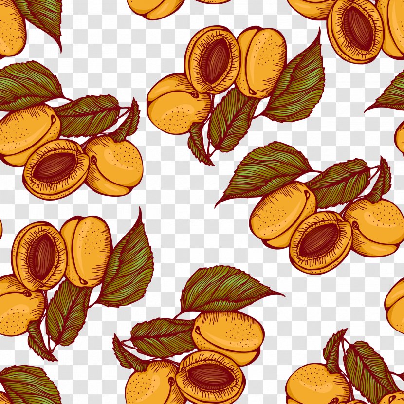 Peach Euclidean Vector Illustration - Plum - Apricots Transparent PNG